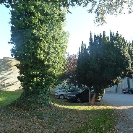 Cote Cour Apartment Bergues Bagian luar foto