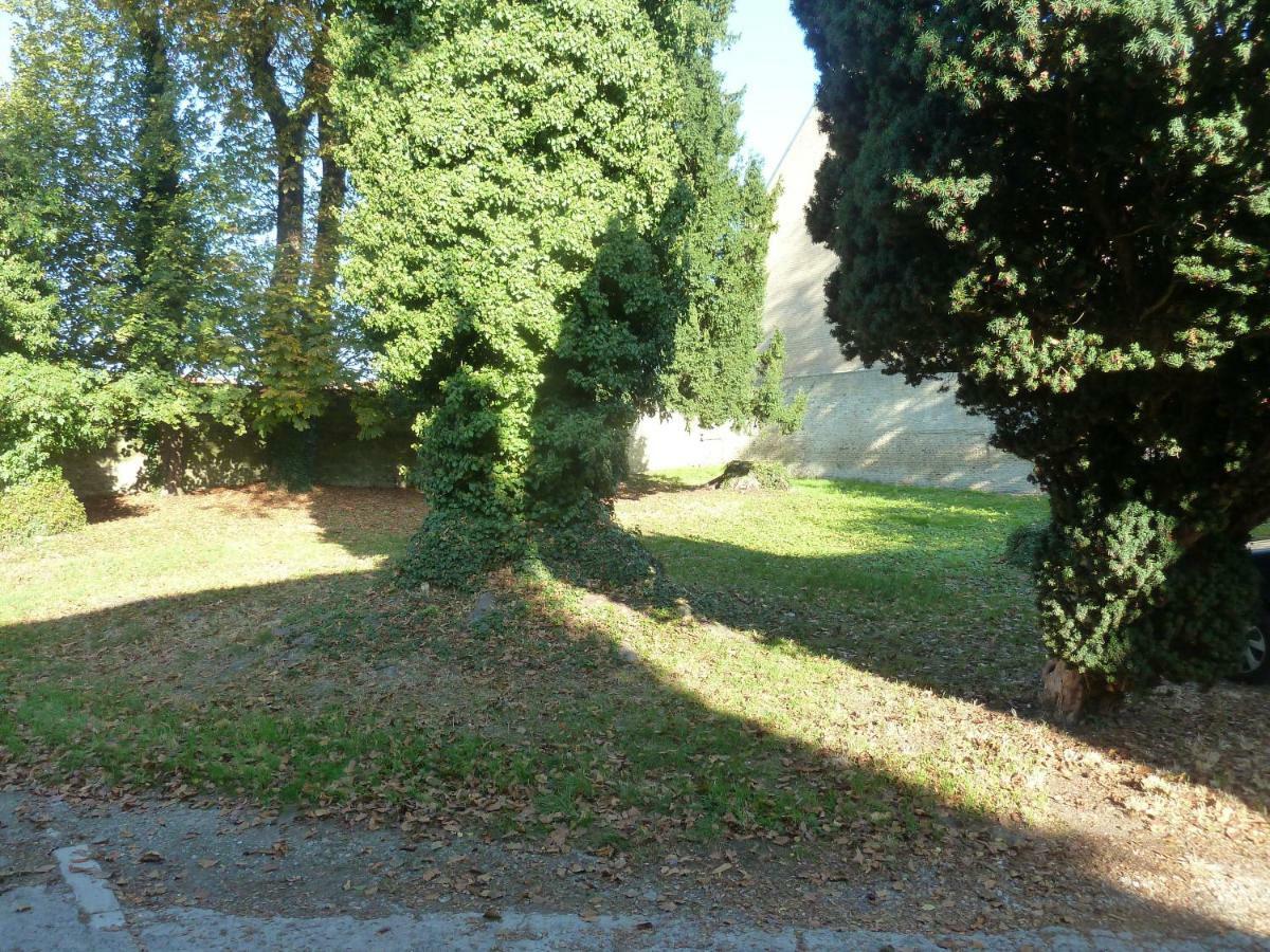 Cote Cour Apartment Bergues Bagian luar foto